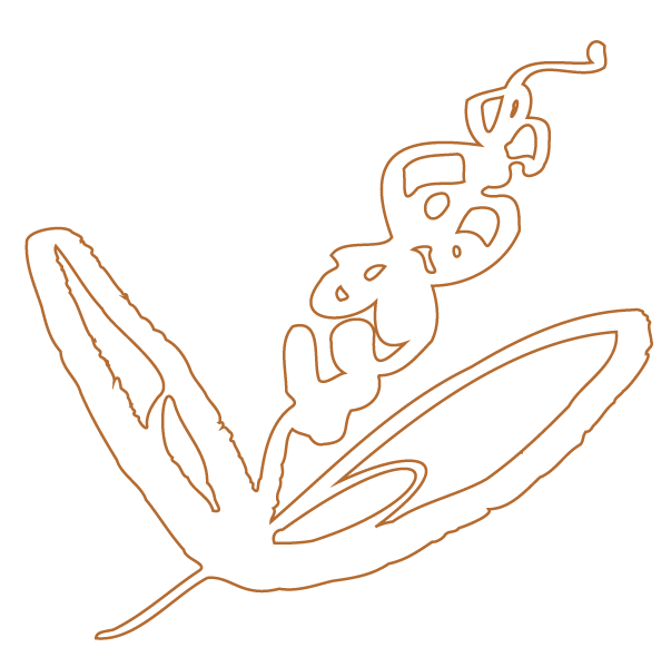 icon-fleur-marron